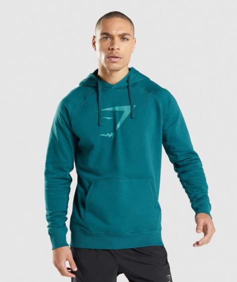 Men's Gymshark Sharkhead Infill Hoodie Turquoise | NZ 1DVRML